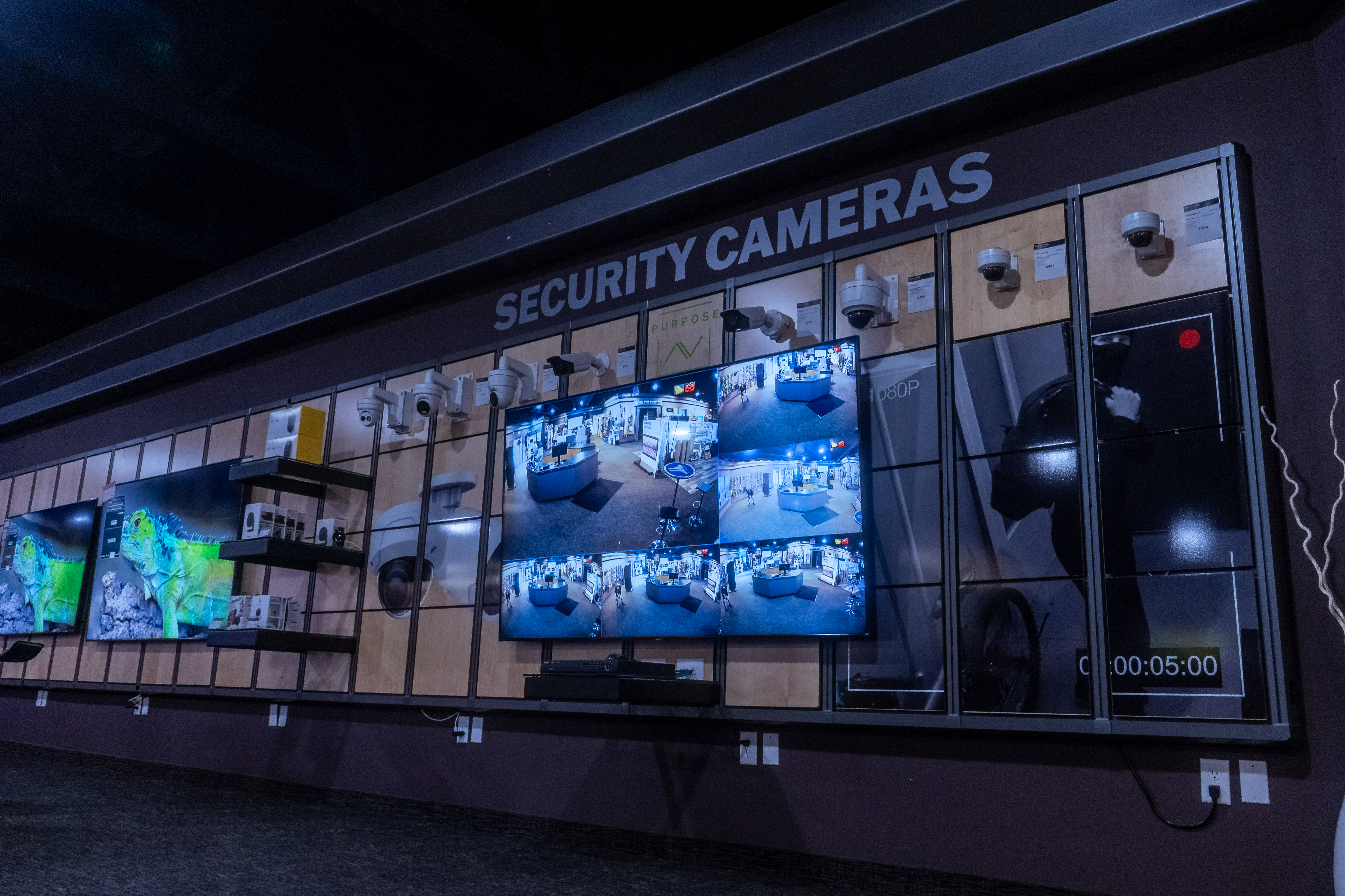 Security Systems Display